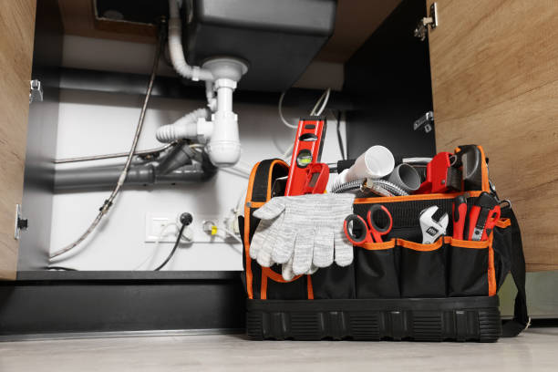 Best Shower Repair Services  in North Aurora, IL